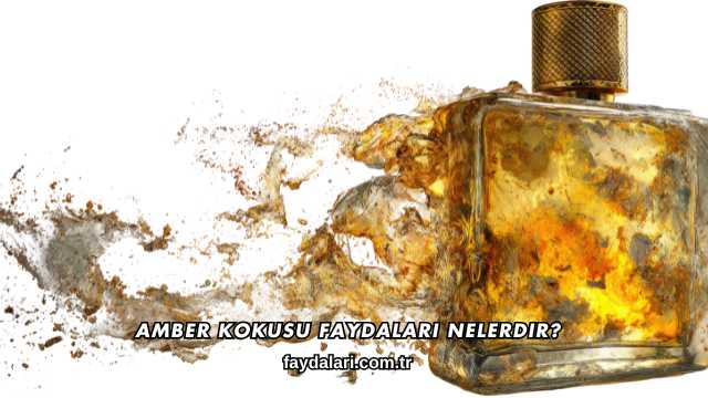Amber Kokusu Faydaları Nelerdir?