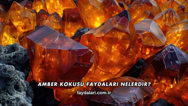 Amber Kokusu Faydaları Nelerdir?