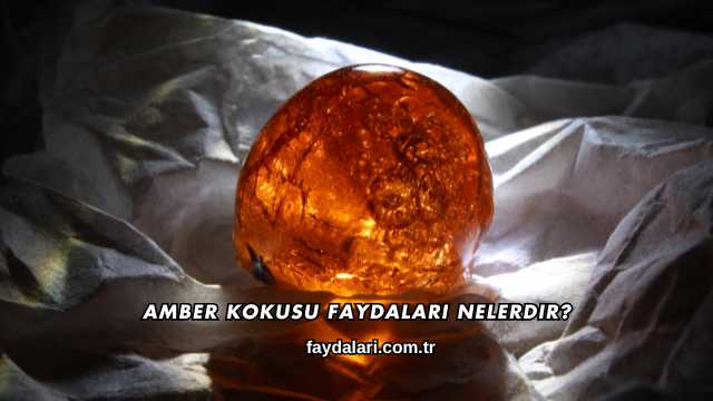 Amber Kokusu Faydaları Nelerdir?