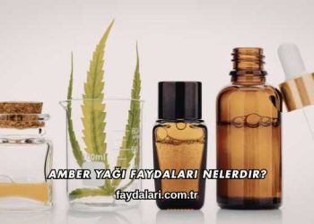 Amber Yağı Faydaları Nelerdir?