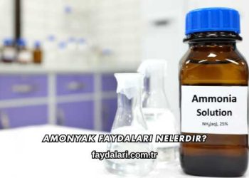 Amonyak Faydaları Nelerdir?