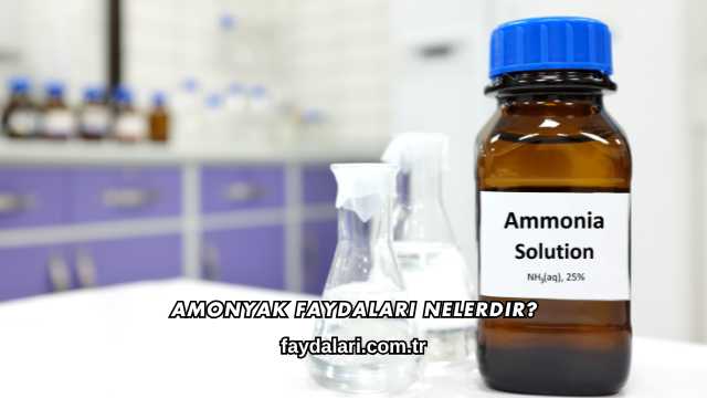 Amonyak Faydaları Nelerdir?