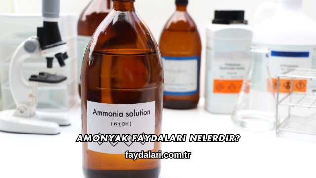Amonyak Faydaları Nelerdir?