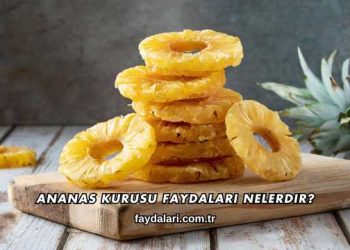 Ananas Kurusu Faydaları Nelerdir?