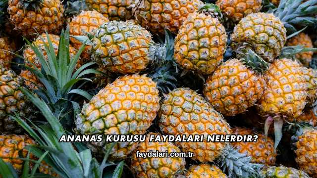 Ananas Kurusu Faydaları Nelerdir?
