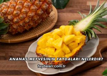 Ananas Meyvesinin Faydaları Nelerdir?