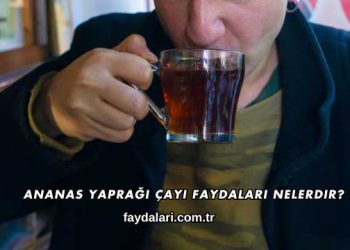 Ananas Yaprağı Çayı Faydaları Nelerdir?