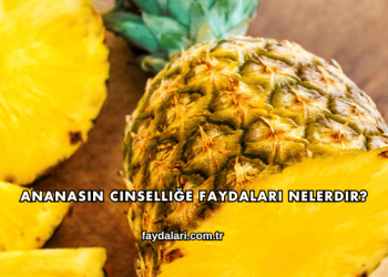 Ananasın Cinselliğe Faydaları Nelerdir?