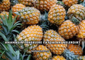 Ananasın Erkeklere Faydaları Nelerdir?
