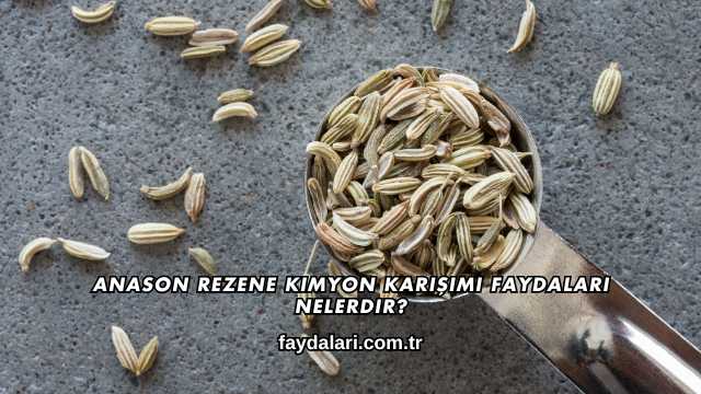 Anason Rezene Kimyon Karışımı Faydaları Nelerdir?