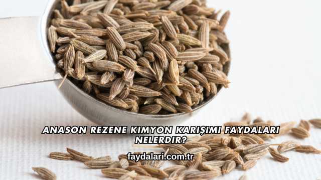 Anason Rezene Kimyon Karışımı Faydaları Nelerdir?