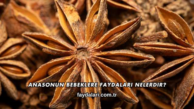 Anasonun Bebeklere Faydaları Nelerdir?