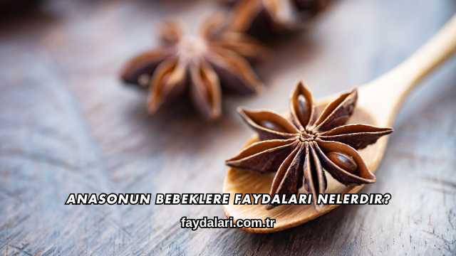Anasonun Bebeklere Faydaları Nelerdir?