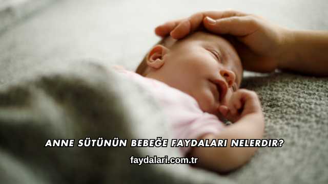 Anne Sütünün Bebeğe Faydaları Nelerdir?