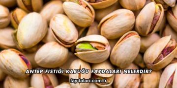 Antep Fıstığı Kabuğu Faydaları Nelerdir?