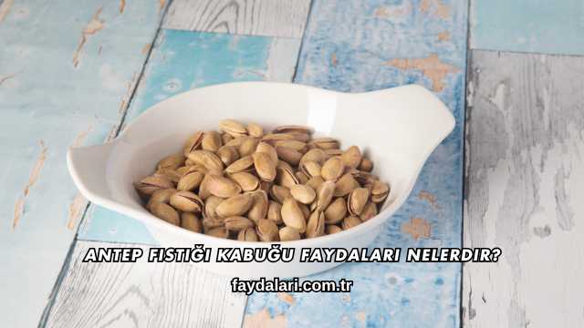 Antep Fıstığı Kabuğu Faydaları Nelerdir?
