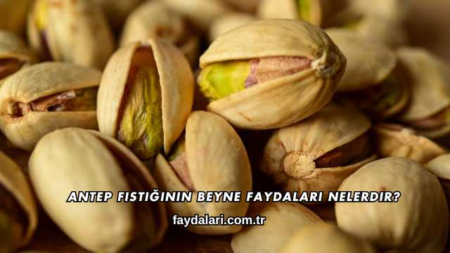 Antep Fıstığının Beyne Faydaları Nelerdir?