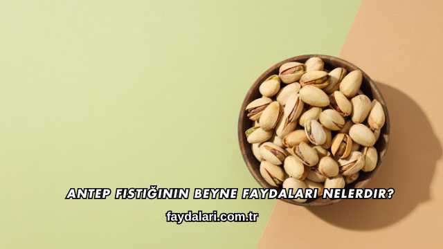 Antep Fıstığının Beyne Faydaları Nelerdir?