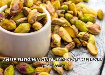 Antep Fıstığının Cinsel Faydaları Nelerdir?