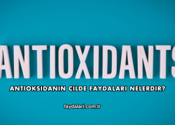 Antioksidanın Cilde Faydaları Nelerdir?