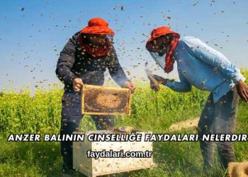 Anzer Balının Cinselliğe Faydaları Nelerdir?