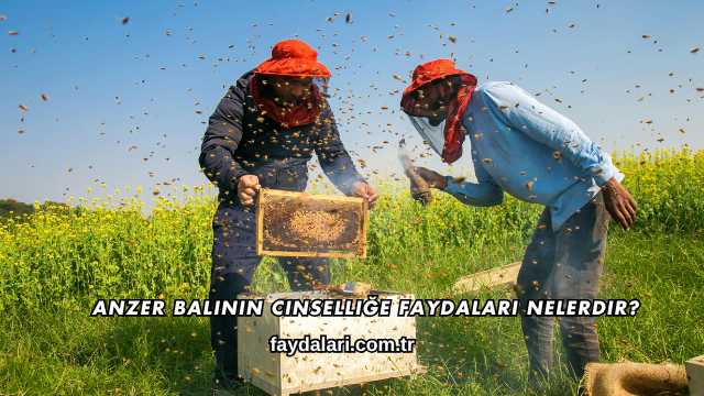 Anzer Balının Cinselliğe Faydaları Nelerdir?