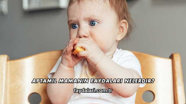Aptamil Mamanın Faydaları Nelerdir?