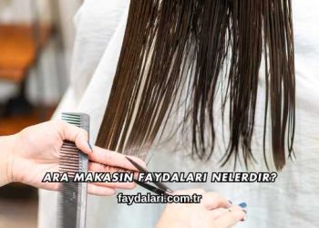 Ara Makasın Faydaları Nelerdir?
