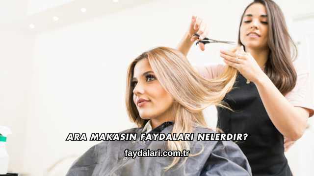 Ara Makasın Faydaları Nelerdir?