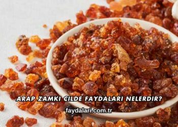 Arap Zamkı Cilde Faydaları Nelerdir?