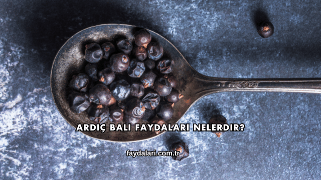 Ardıç Balı Faydaları Nelerdir?