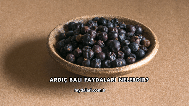 Ardıç Balı Faydaları Nelerdir?
