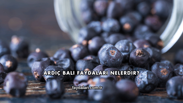 Ardıç Balı Faydaları Nelerdir?