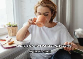 Ardıç Çayı Faydaları Nelerdir?