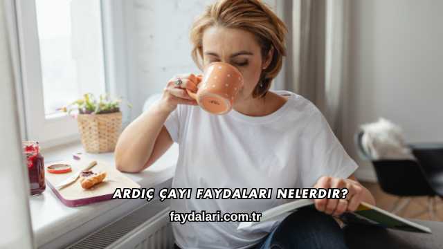 Ardıç Çayı Faydaları Nelerdir?