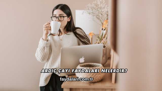 Ardıç Çayı Faydaları Nelerdir?