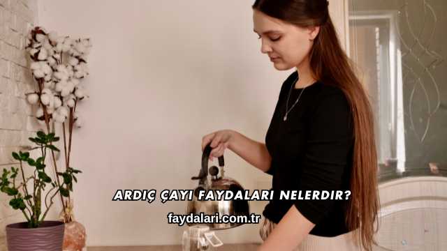 Ardıç Çayı Faydaları Nelerdir?