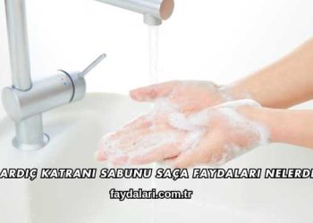 Ardıç Katranı Sabunu Saça Faydaları Nelerdir?