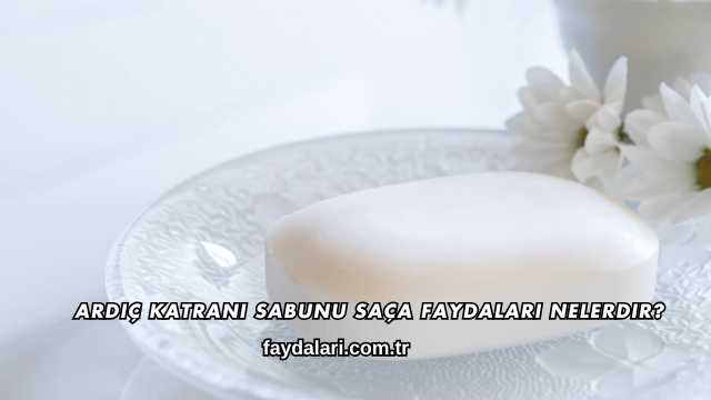 Ardıç Katranı Sabunu Saça Faydaları Nelerdir?