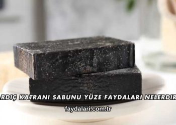 Ardıç Katranı Sabunu Yüze Faydaları Nelerdir?