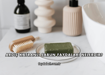 Ardıç Katranlı Sabun Faydaları Nelerdir?