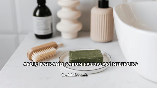 Ardıç Katranlı Sabun Faydaları Nelerdir?
