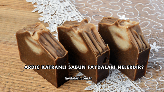Ardıç Katranlı Sabun Faydaları Nelerdir?