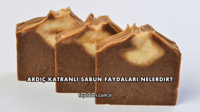 Ardıç Katranlı Sabun Faydaları Nelerdir?