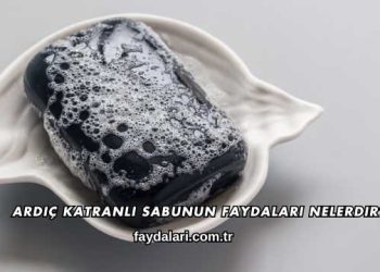 Ardıç Katranlı Sabunun Faydaları Nelerdir?
