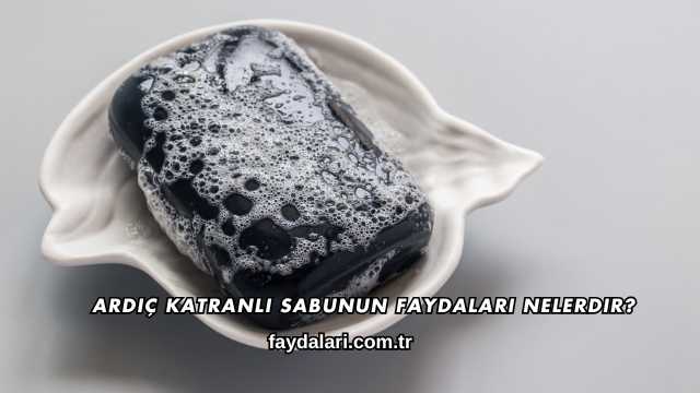 Ardıç Katranlı Sabunun Faydaları Nelerdir?