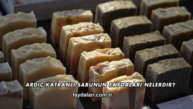 Ardıç Katranlı Sabunun Faydaları Nelerdir?
