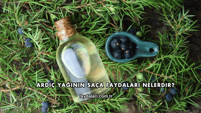 Ardıç Yağının Saça Faydaları Nelerdir?