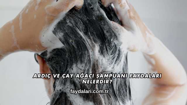 Ardıç ve Çay Ağacı Şampuanı Faydaları Nelerdir?