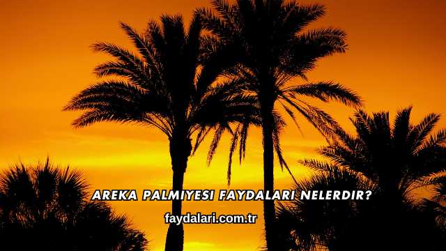 Areka Palmiyesi Faydaları Nelerdir?